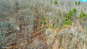 0 Hilltop Drive Jacksboro TN 37757