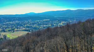 0 Hilltop Drive Jacksboro TN 37757