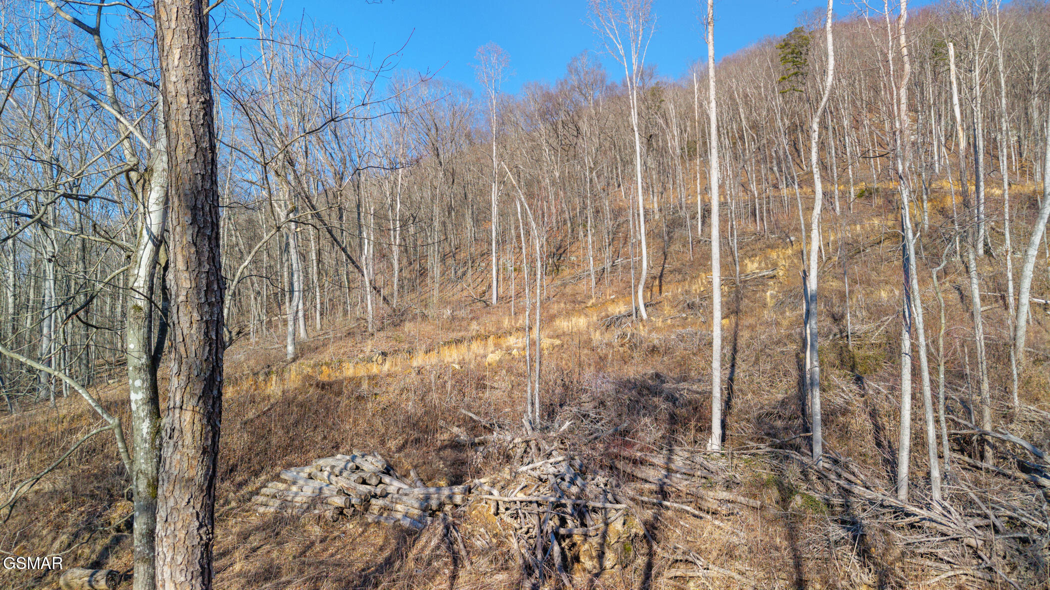0 Hilltop Drive Jacksboro TN 37757