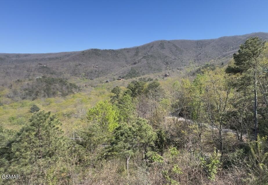 Lot 11 Perry Circle Lane Sevierville TN 37862
