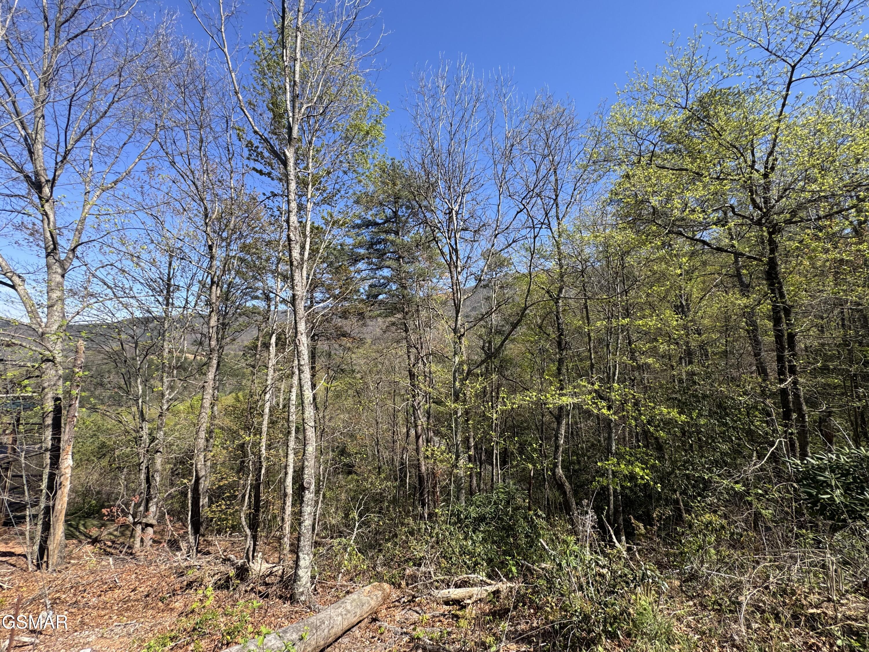 Lot 11 Perry Circle Lane Sevierville TN 37862