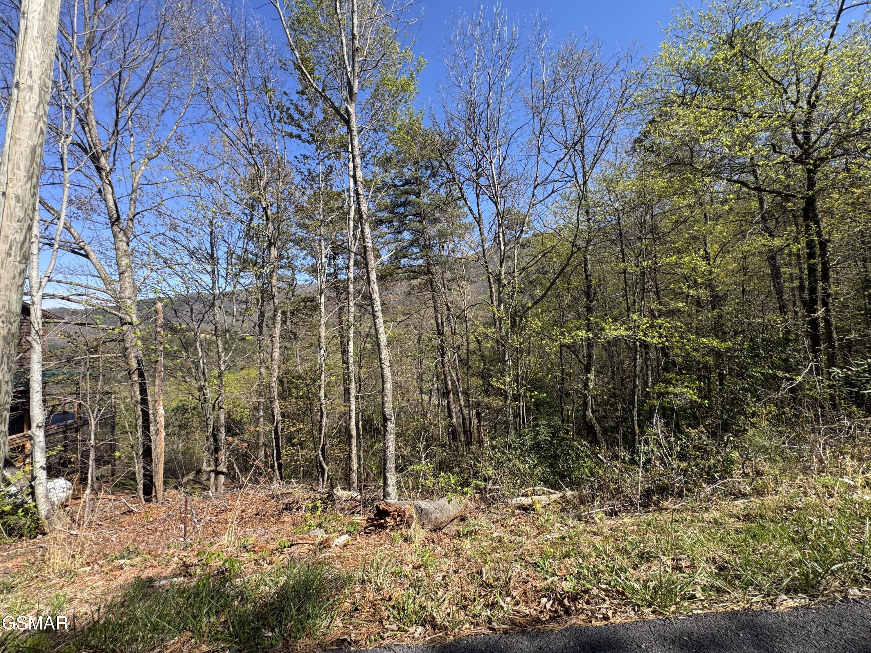 Lot 11 Perry Circle Lane Sevierville TN 37862