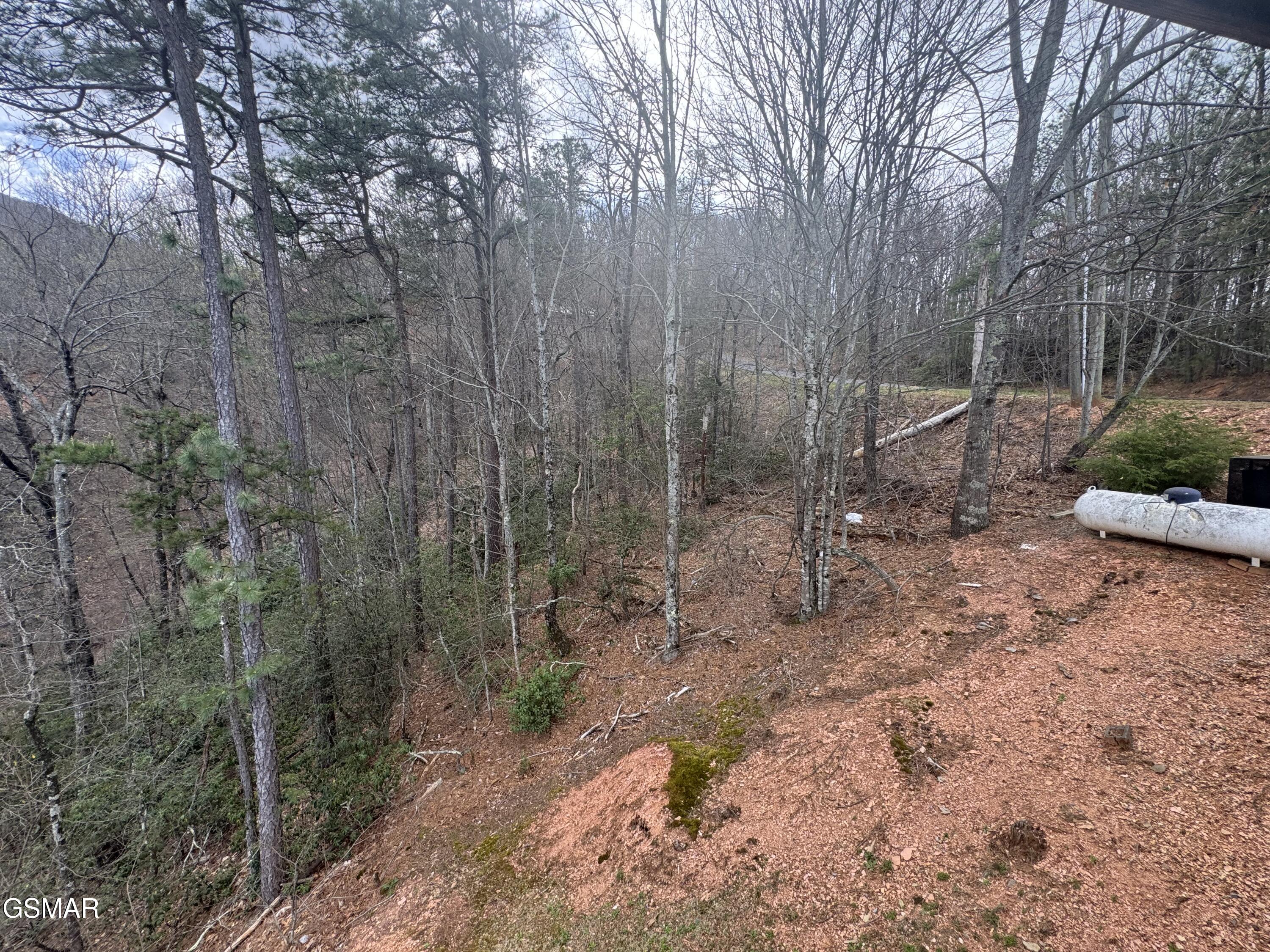 Lot 11 Perry Circle Lane Sevierville TN 37862