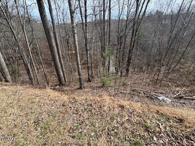 Lots 444 A Sky View Sevierville TN 37876