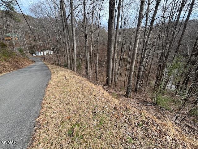 Lots 444 A Sky View Sevierville TN 37876