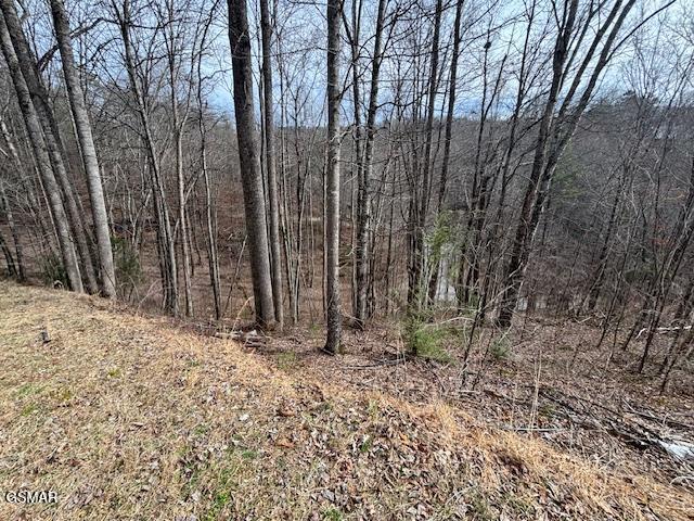 Lots 444 A Sky View Sevierville TN 37876