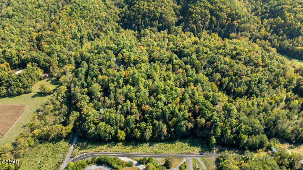 Lot 3 Holly Lane Sevierville TN 37862