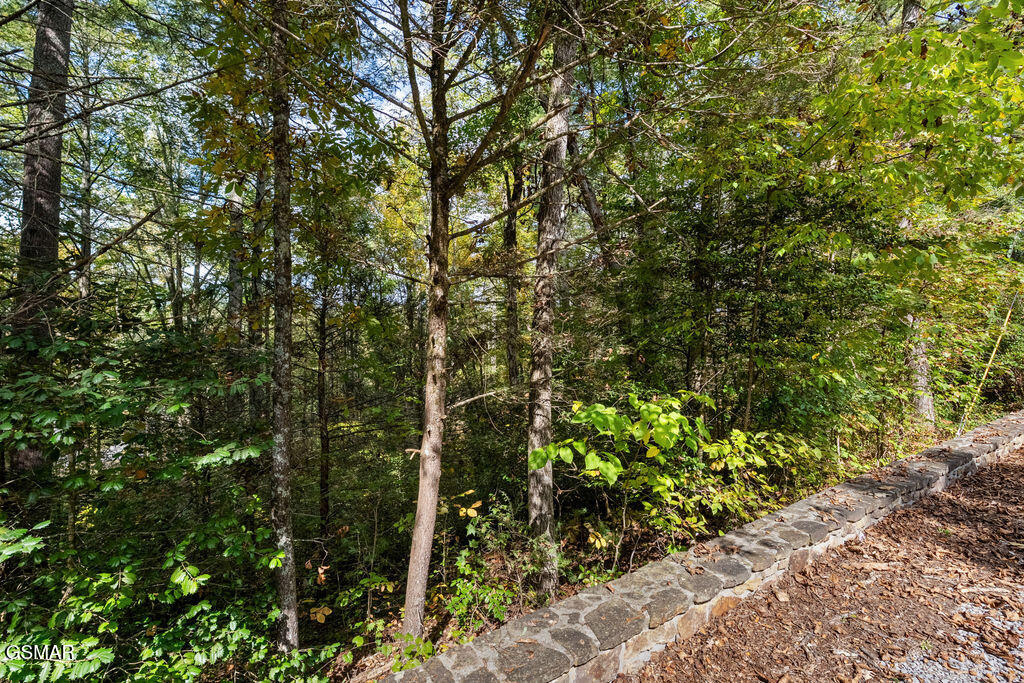 Lot 3 Holly Lane Sevierville TN 37862