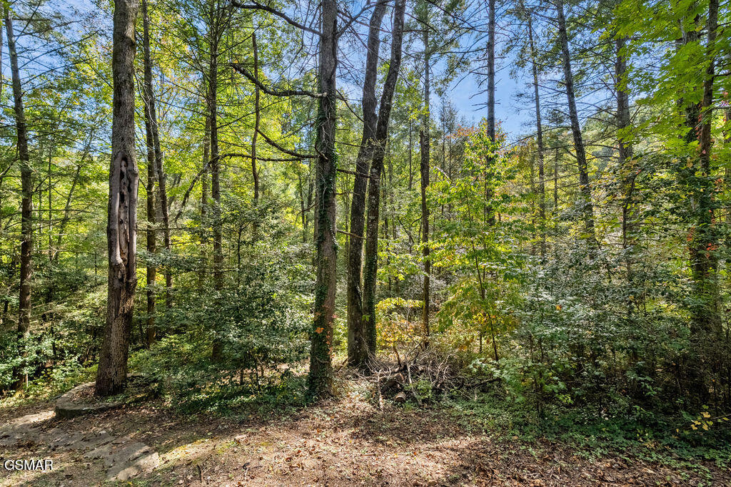 Lot 3 Holly Lane Sevierville TN 37862