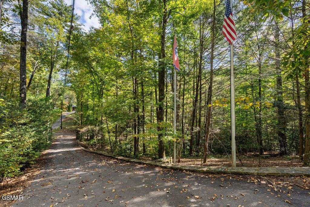 Lot 3 Holly Lane Sevierville TN 37862