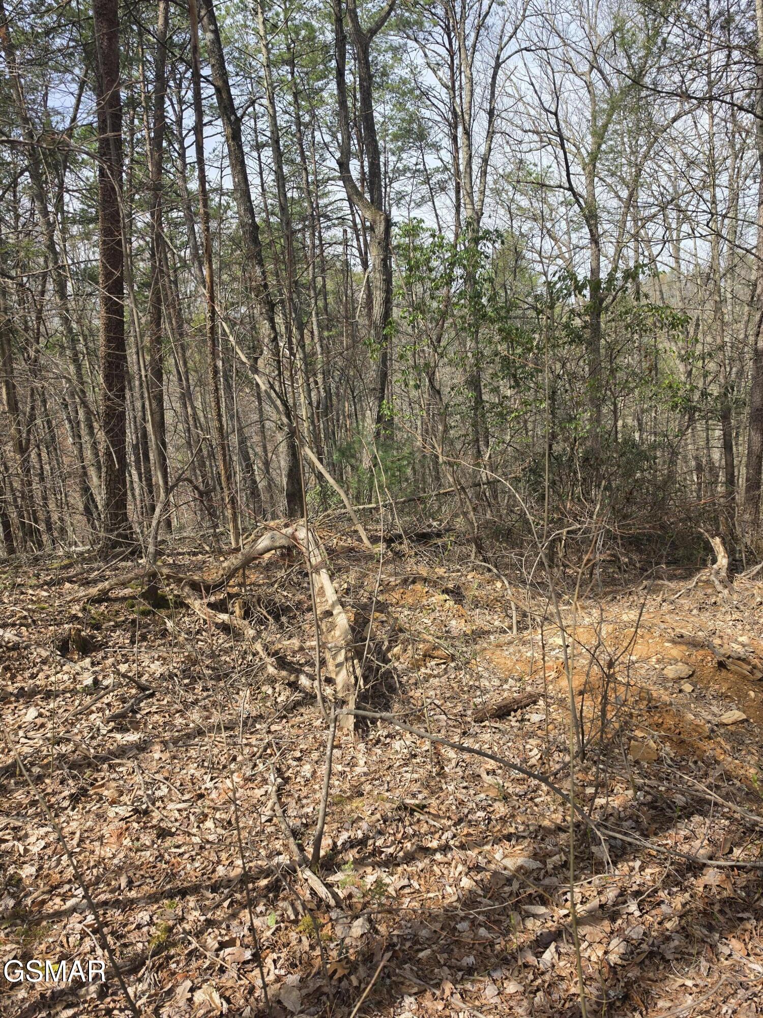 Lot 101 Ridgefield Drive Sevierville TN 37876