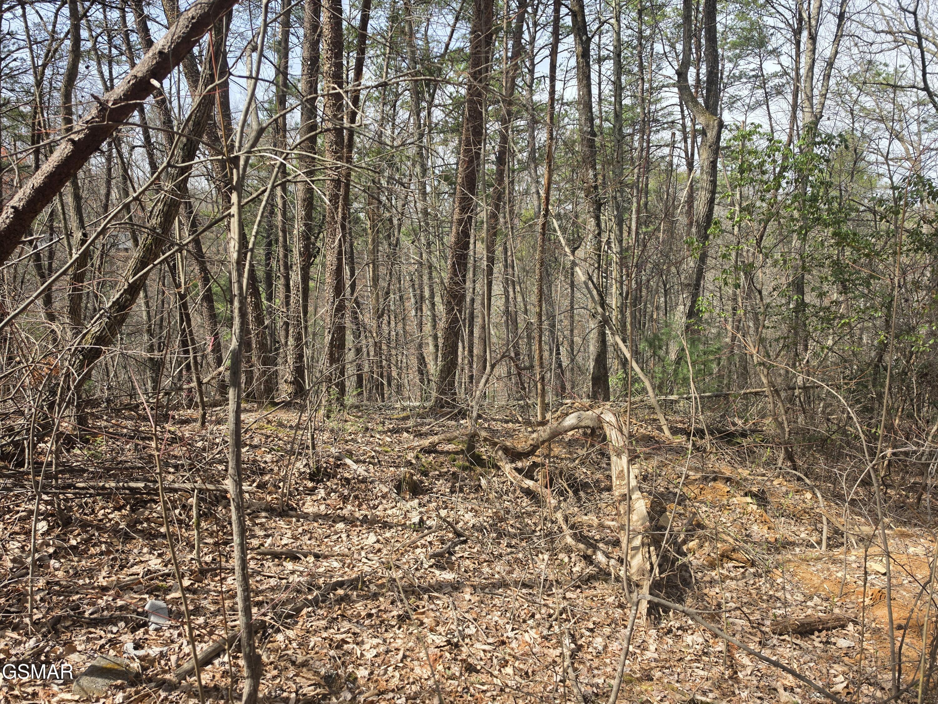 Lot 101 Ridgefield Drive Sevierville TN 37876