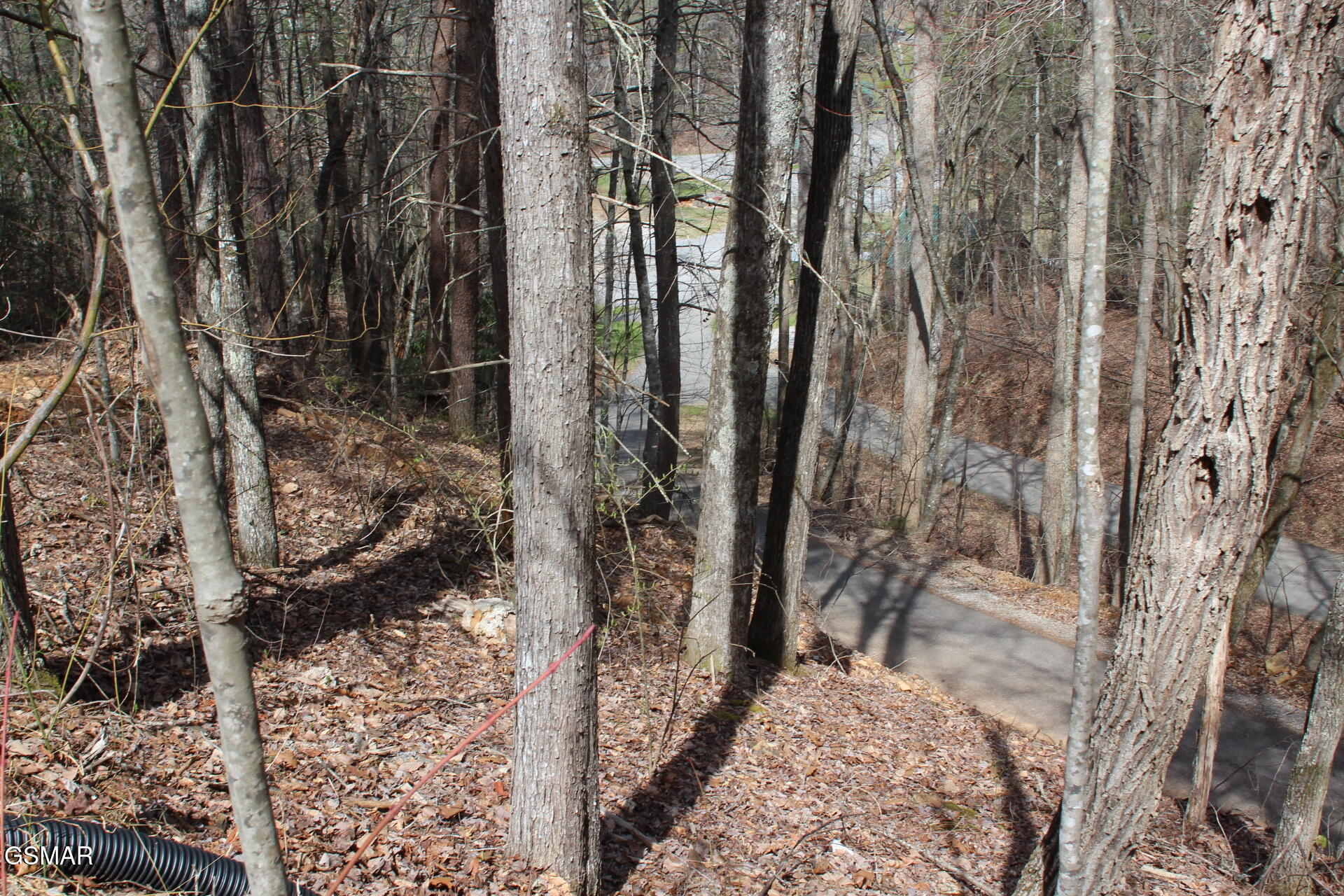 Lot 101 Ridgefield Drive Sevierville TN 37876