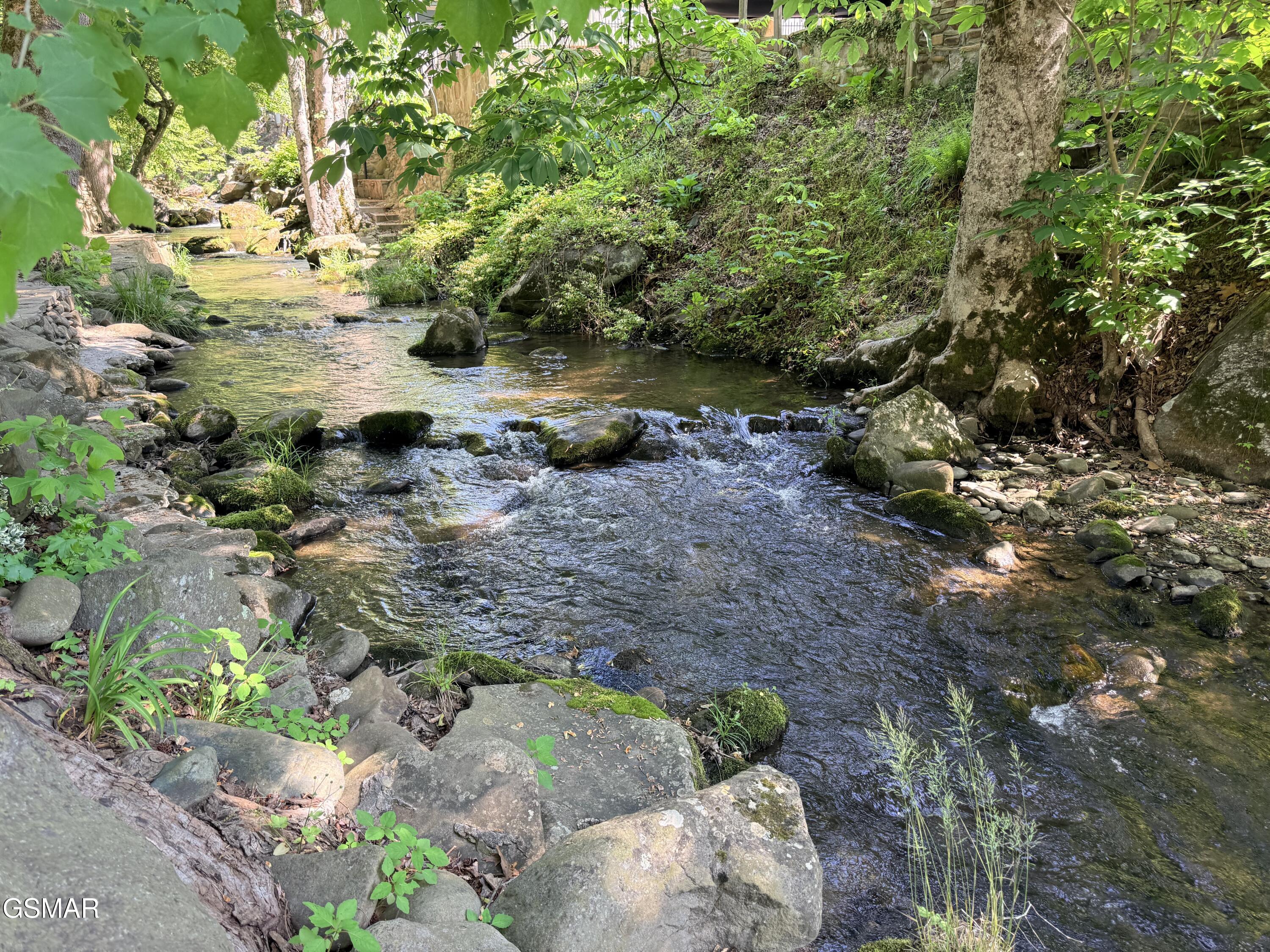 4229 E Parkway #281 Gatlinburg TN 37738