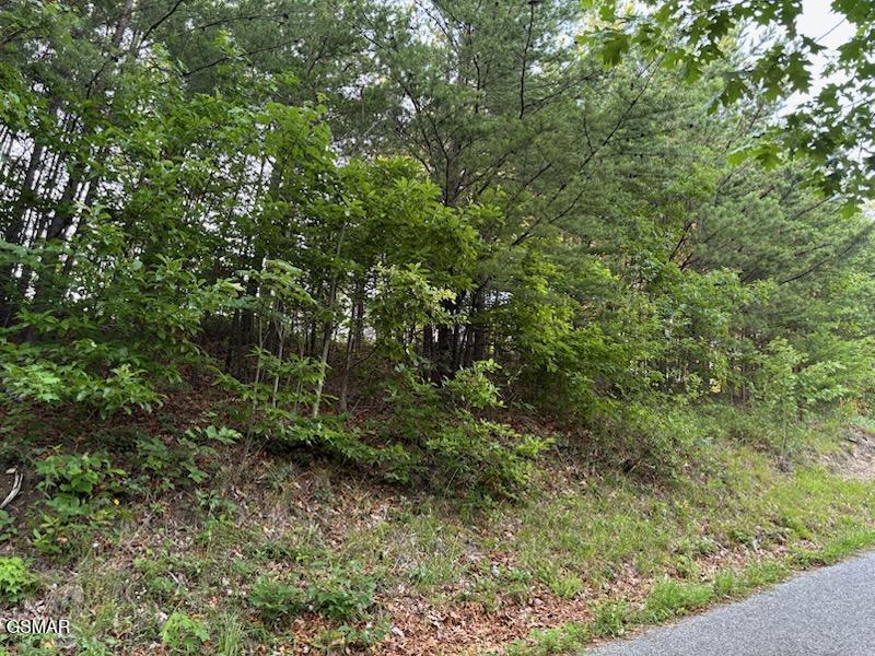 00 Top Road Sevierville TN 37876
