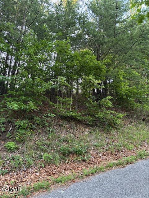 00 Top Road Sevierville TN 37876