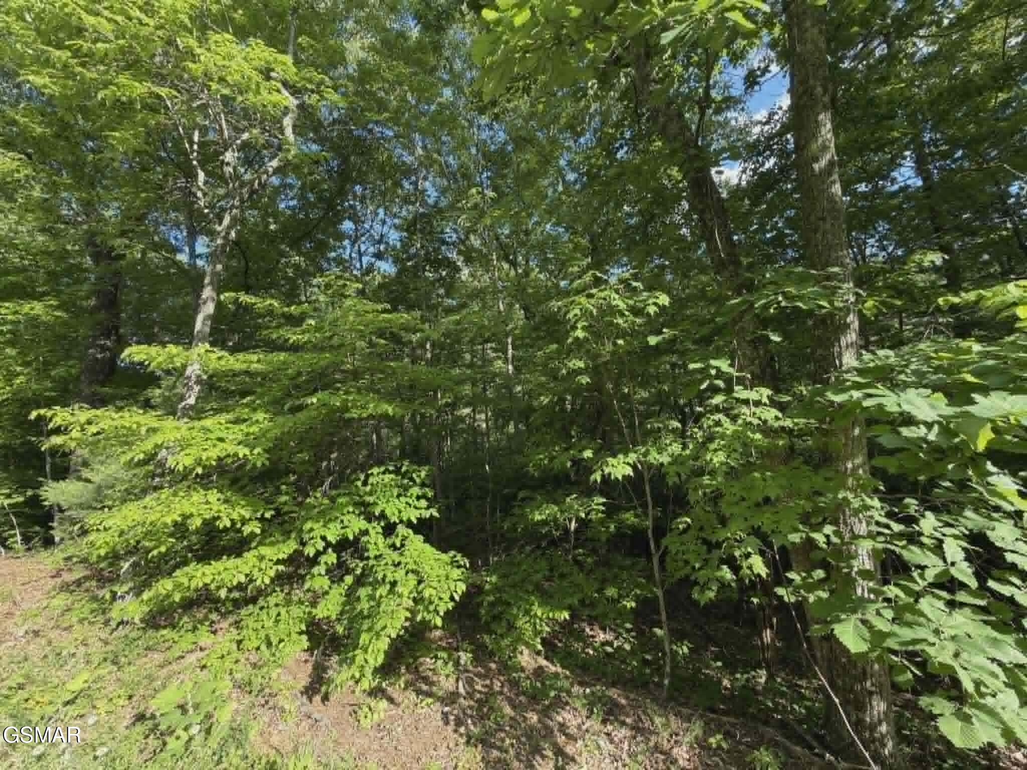 20, 21, 22 Fox Hunters Lane Sevierville TN 37876