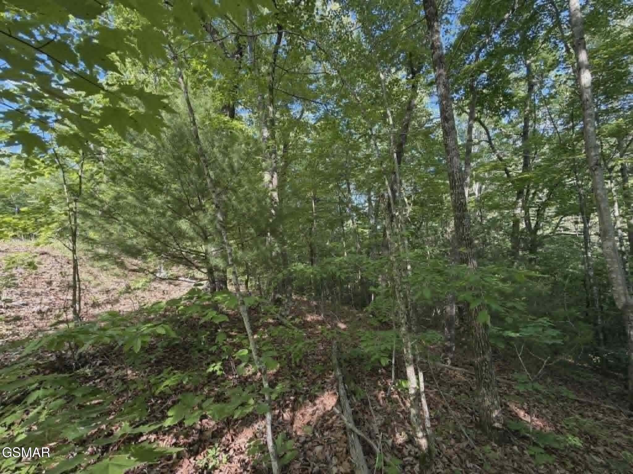 20, 21, 22 Fox Hunters Lane Sevierville TN 37876