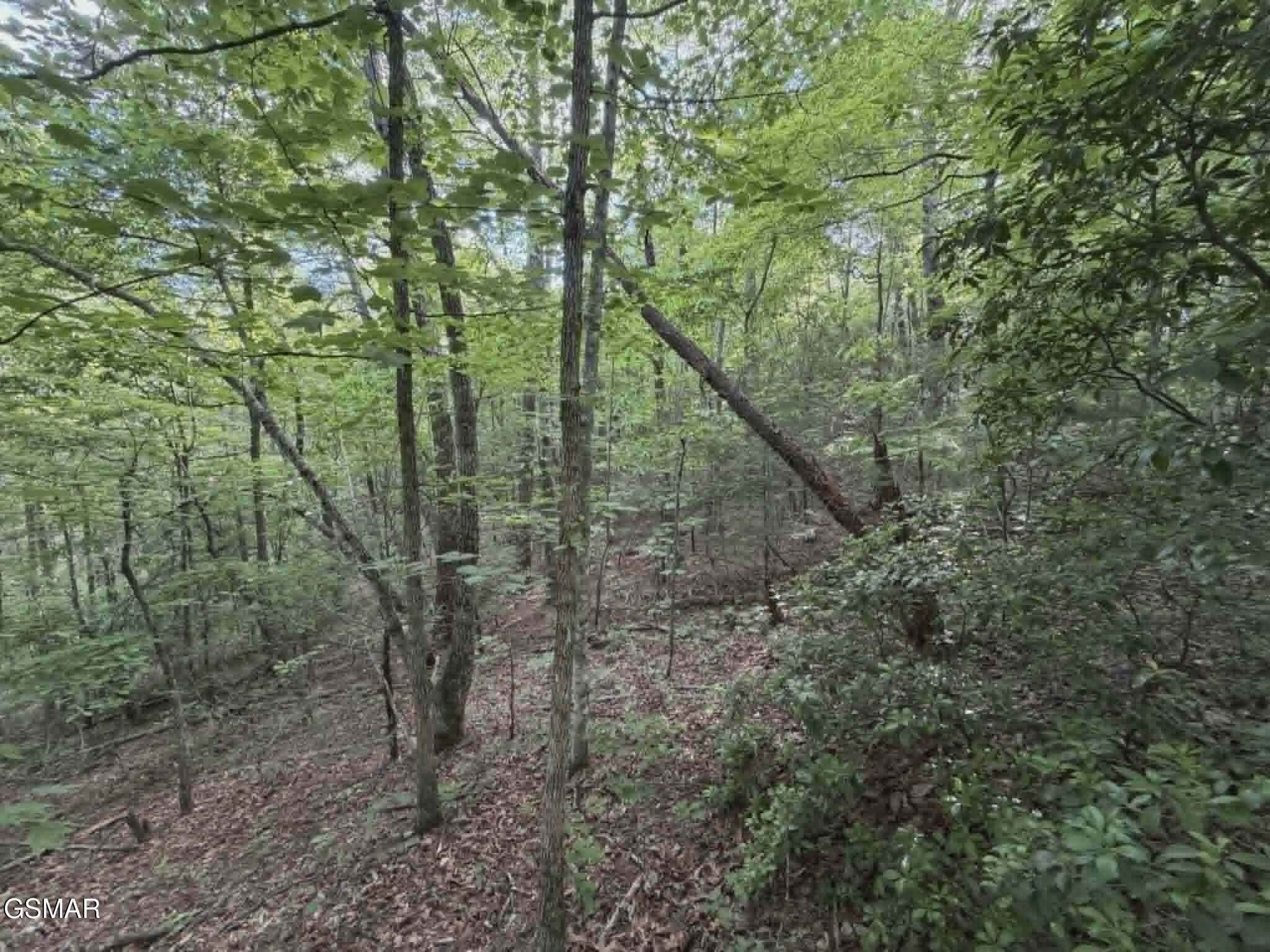 20, 21, 22 Fox Hunters Lane Sevierville TN 37876
