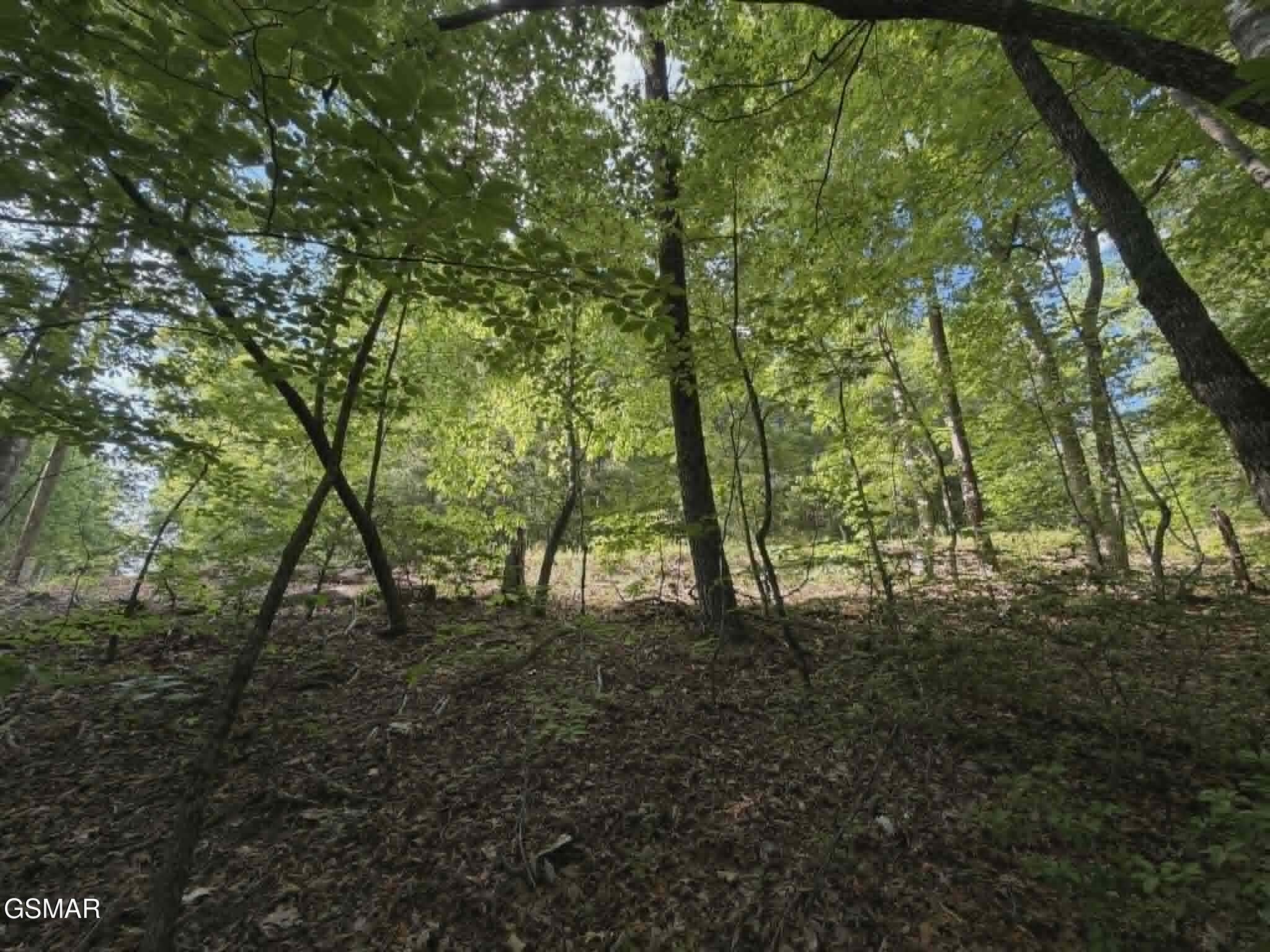 20, 21, 22 Fox Hunters Lane Sevierville TN 37876