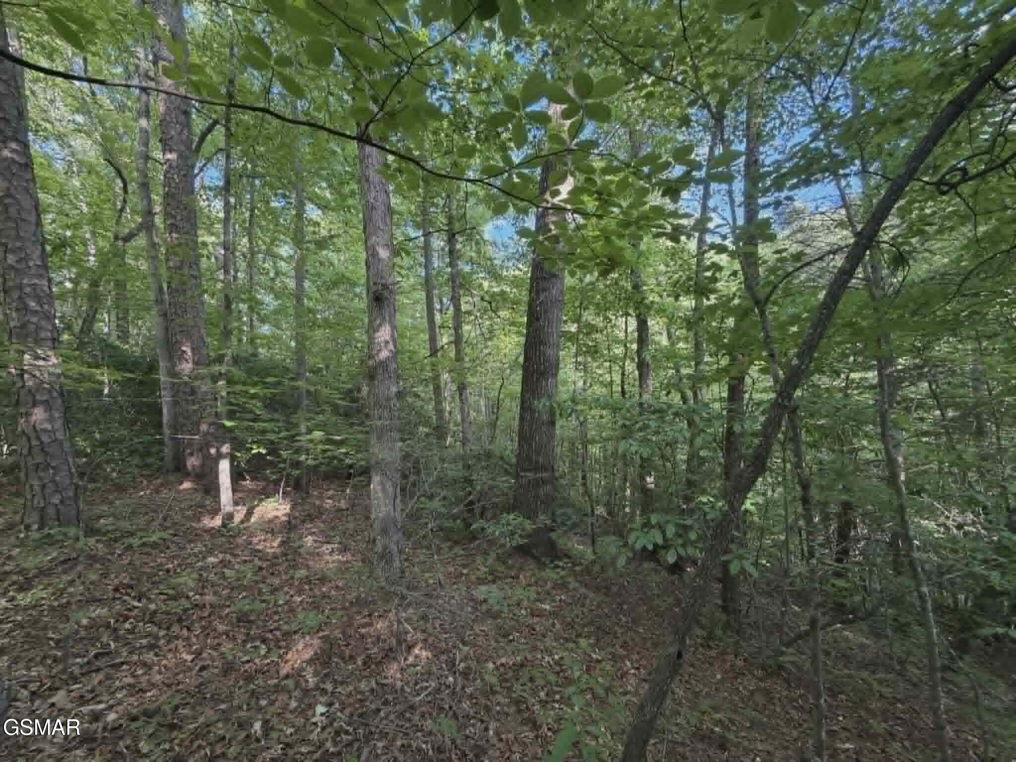 20, 21, 22 Fox Hunters Lane Sevierville TN 37876