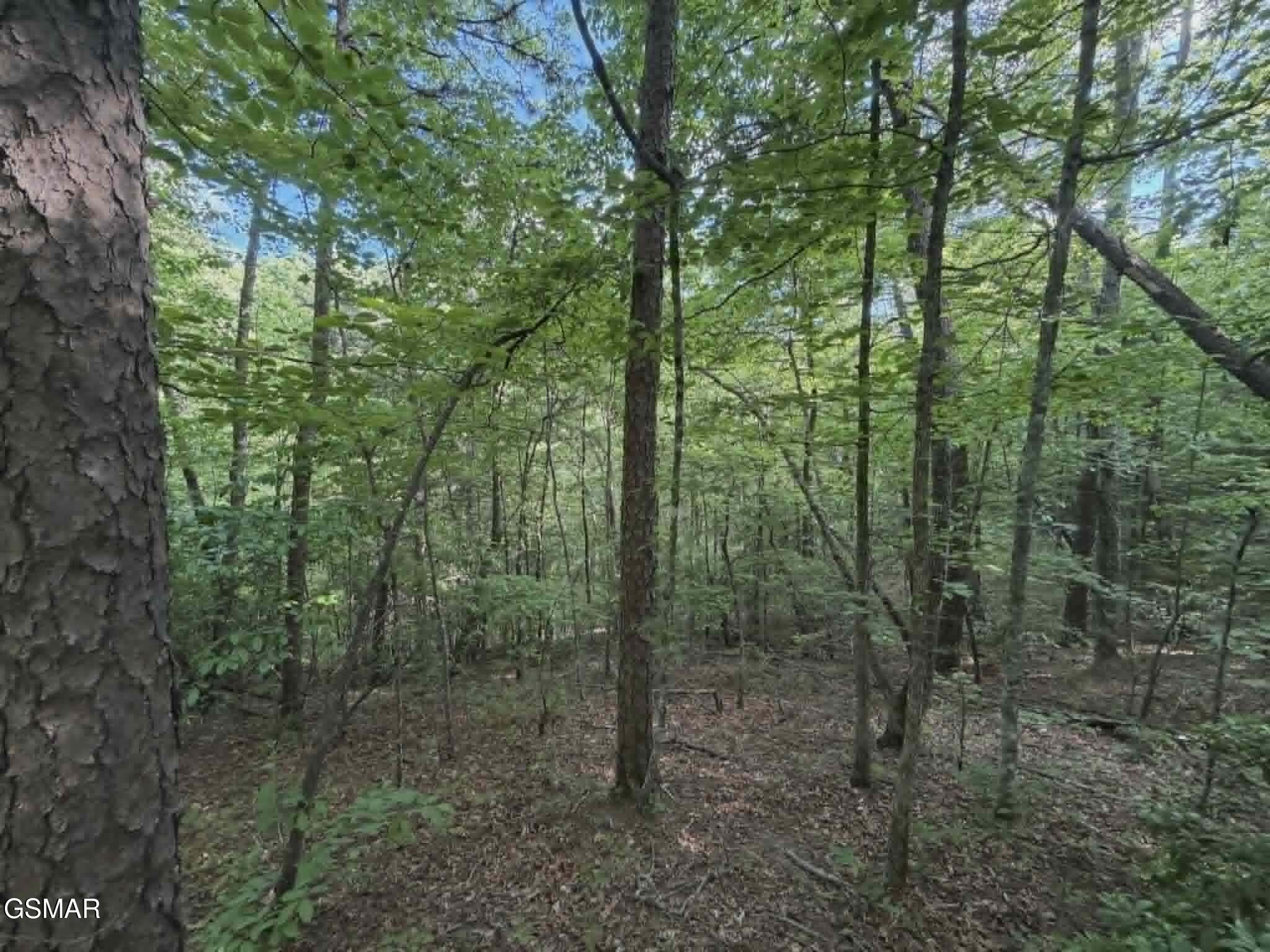 20, 21, 22 Fox Hunters Lane Sevierville TN 37876
