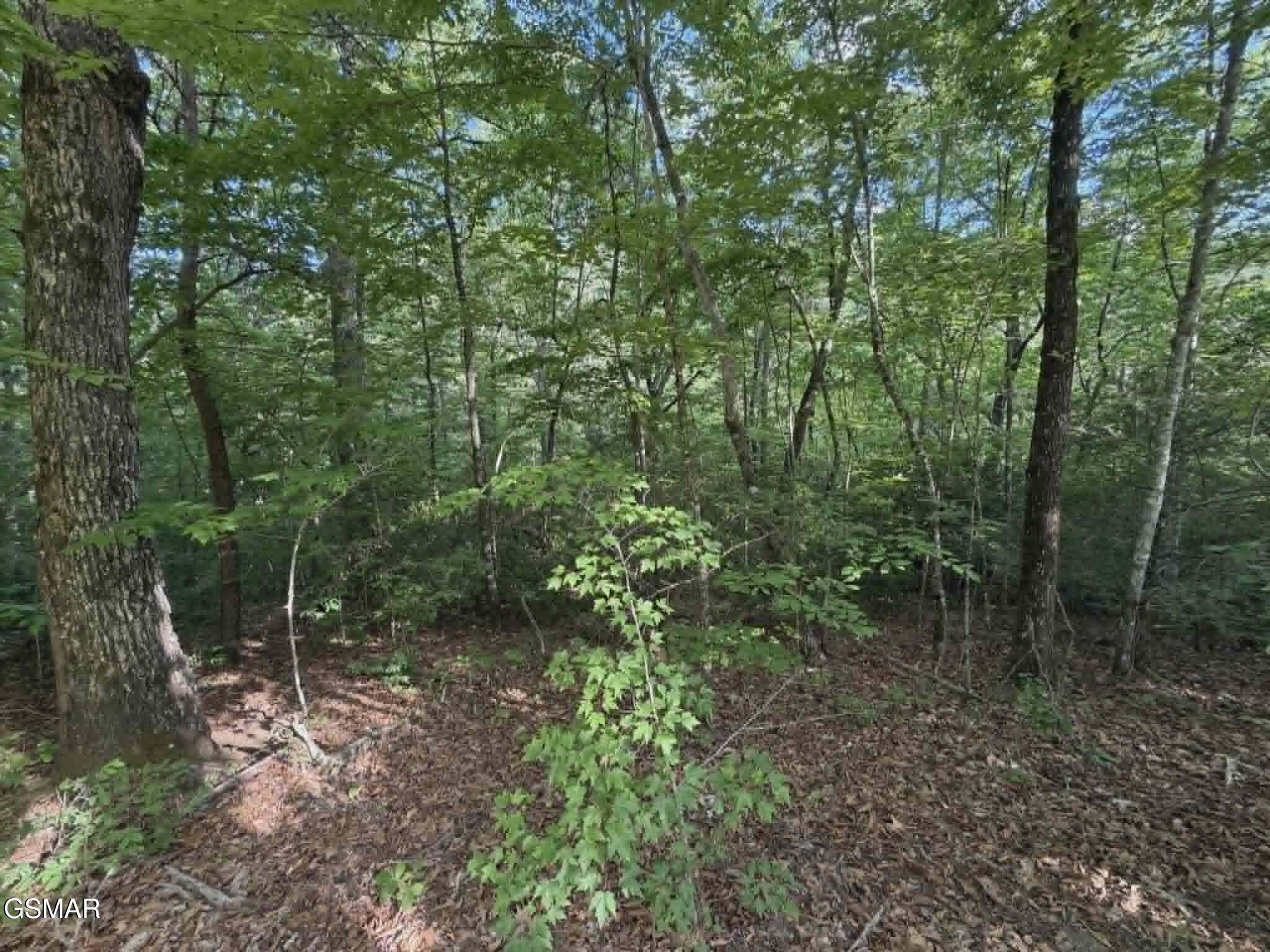 20, 21, 22 Fox Hunters Lane Sevierville TN 37876