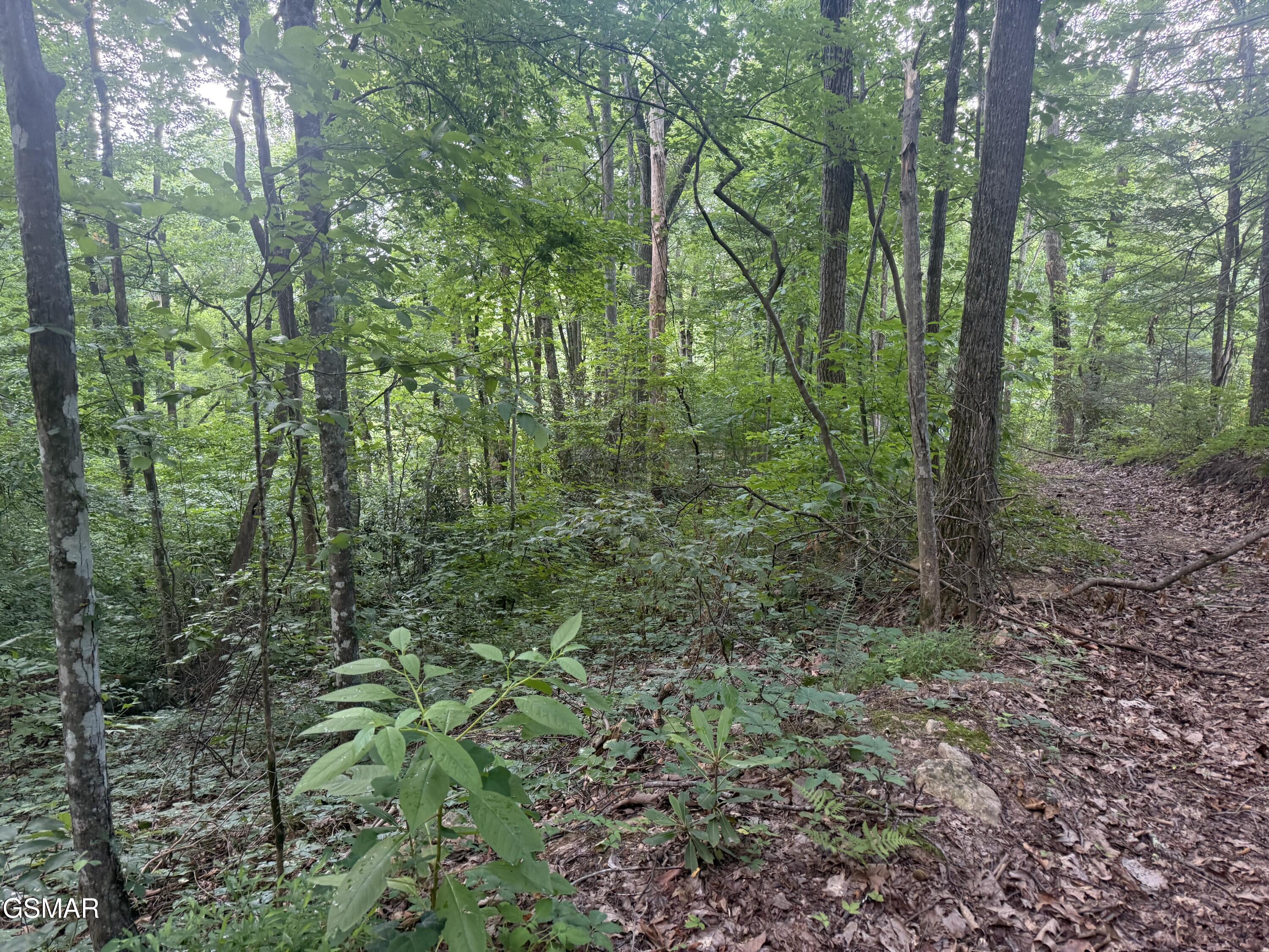 7.36 Acres Panther Creek Road Sevierville TN 37876