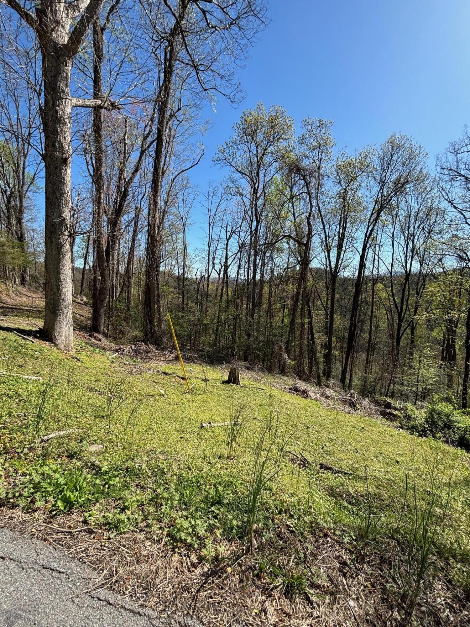 000 Esslinger & Low Gap Gatlinburg TN 37738