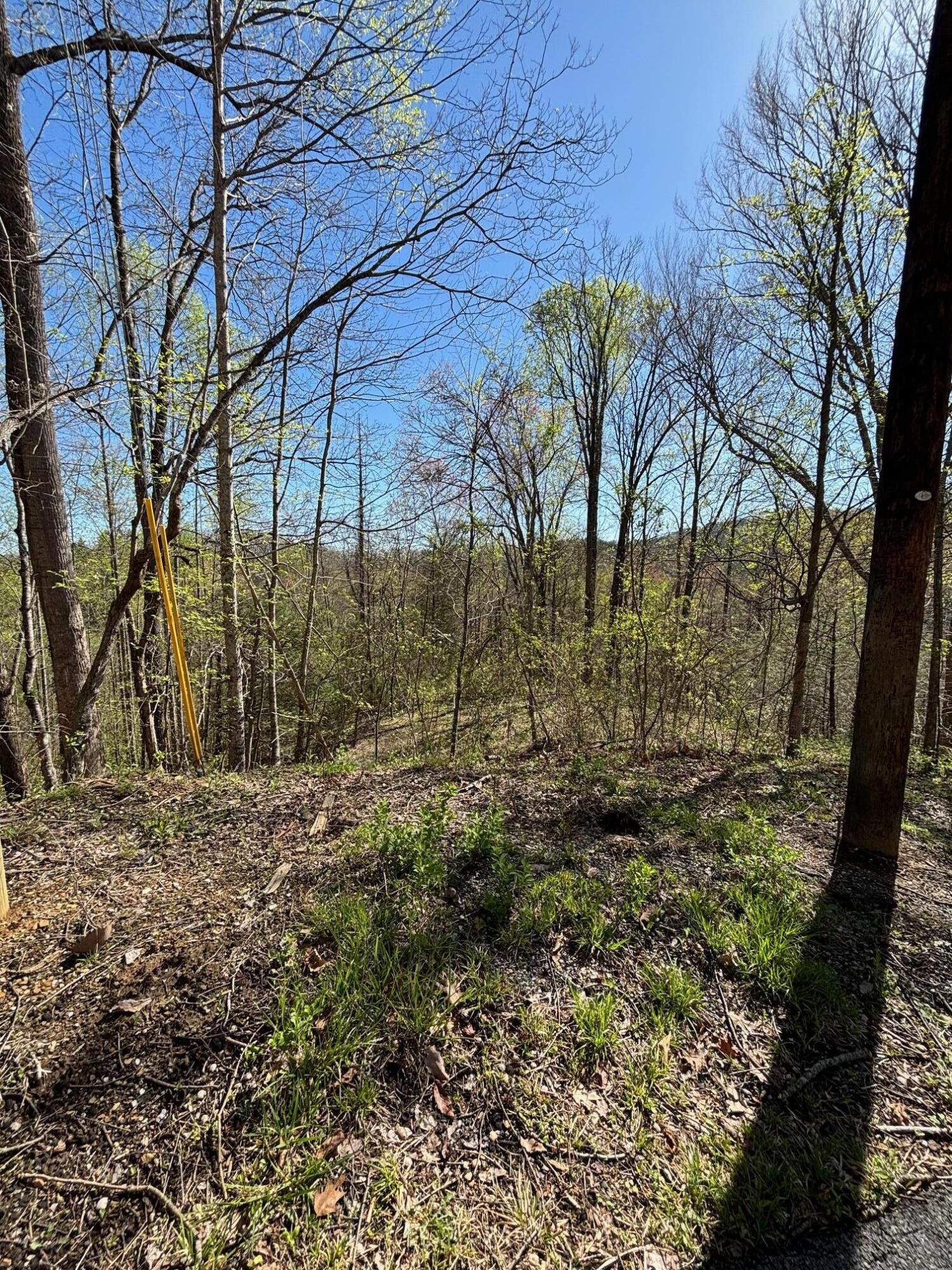 000 Esslinger & Low Gap Gatlinburg TN 37738