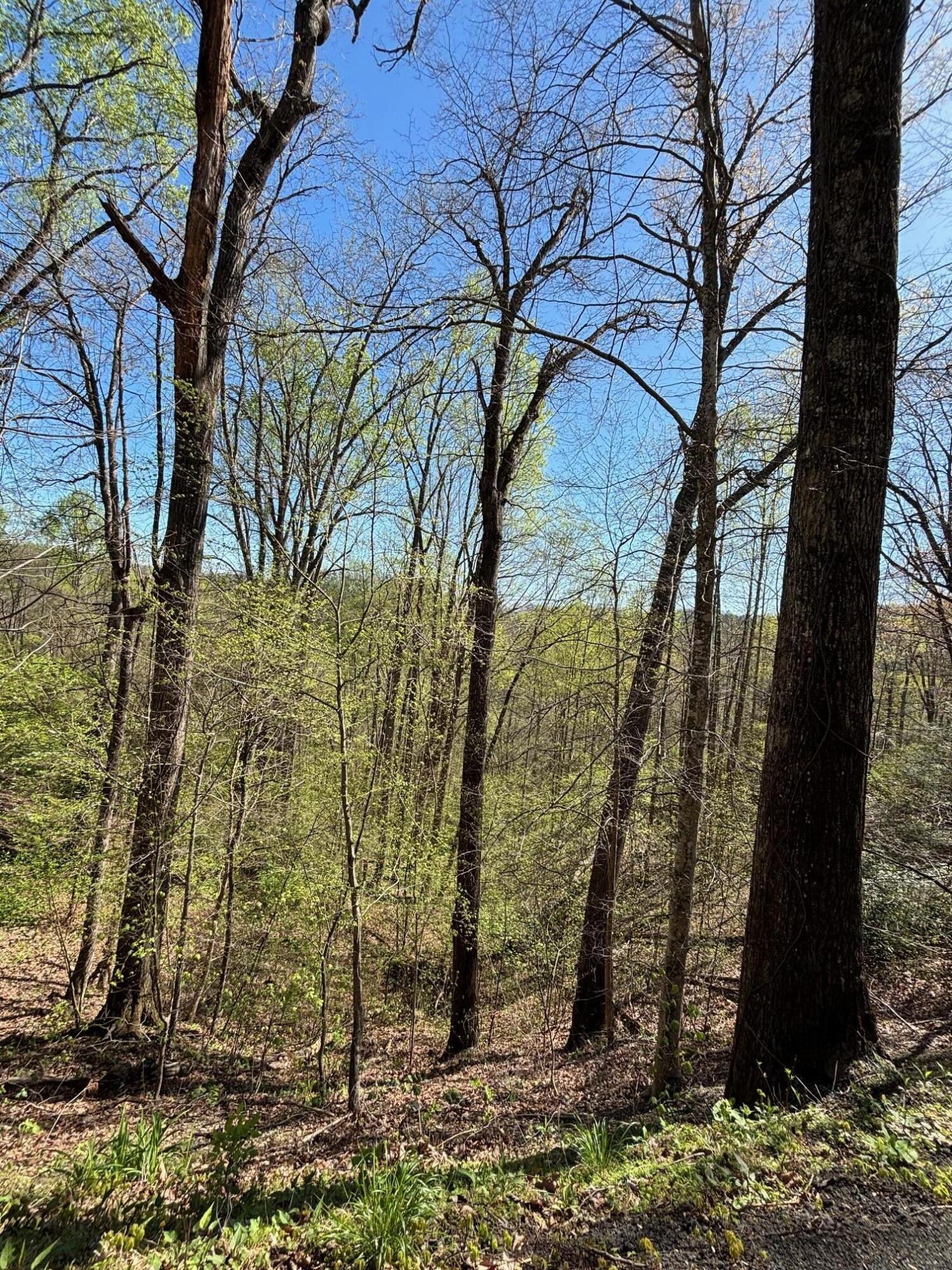 000 Esslinger & Low Gap Gatlinburg TN 37738