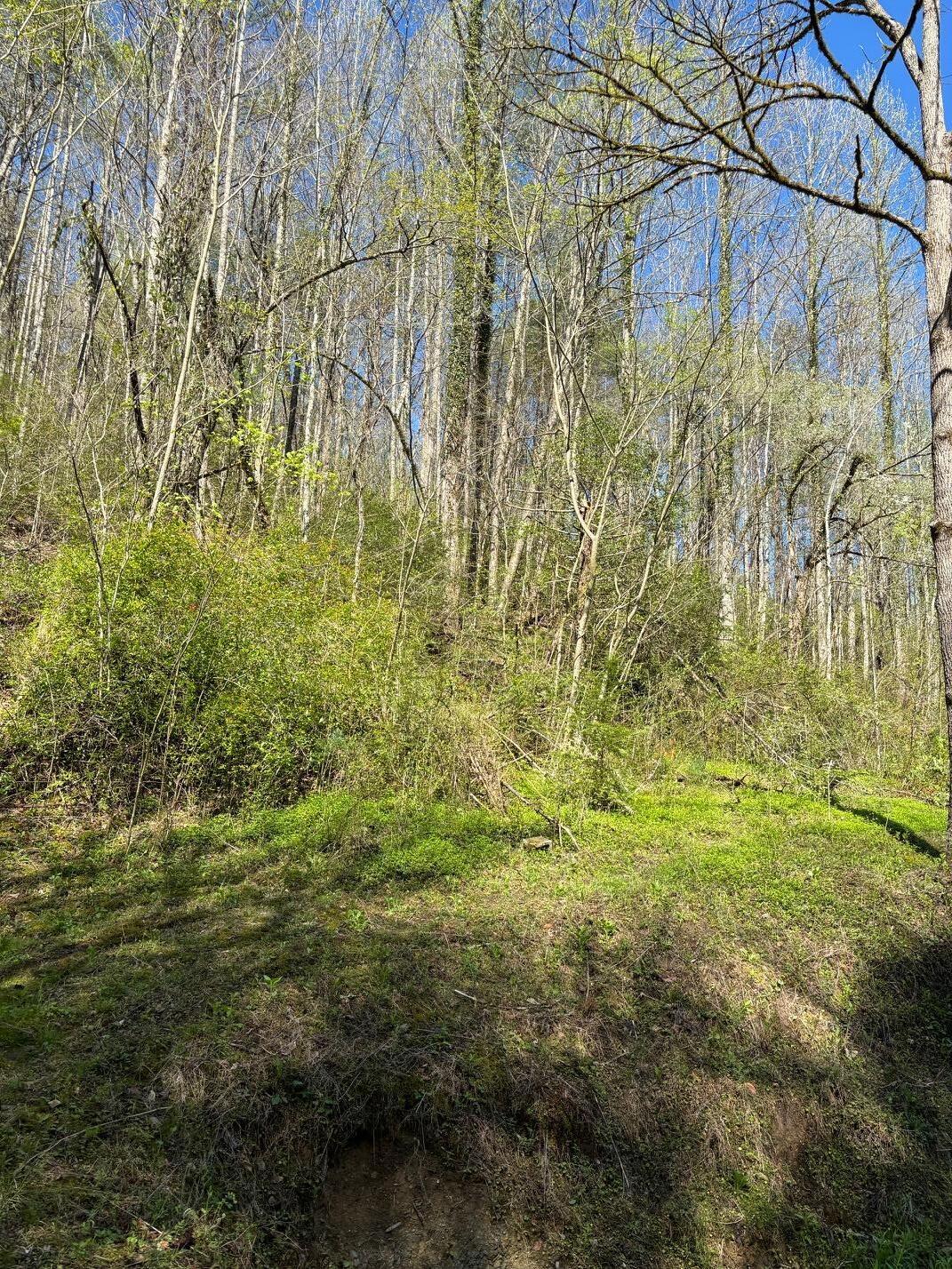 000 Esslinger & Low Gap Gatlinburg TN 37738
