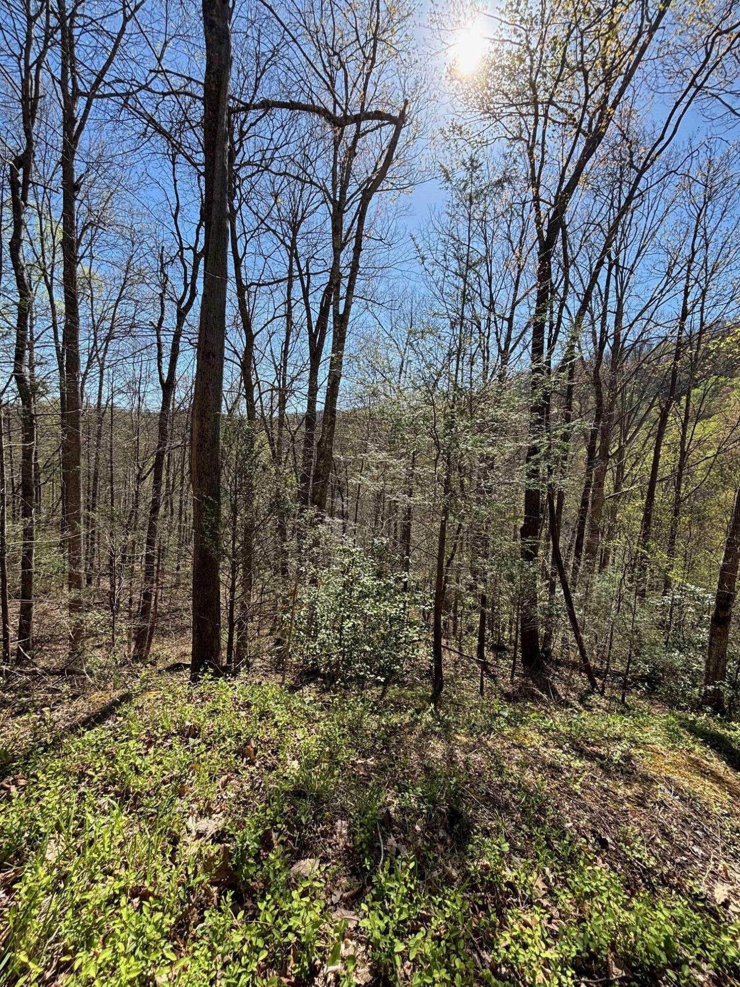 000 Esslinger & Low Gap Gatlinburg TN 37738