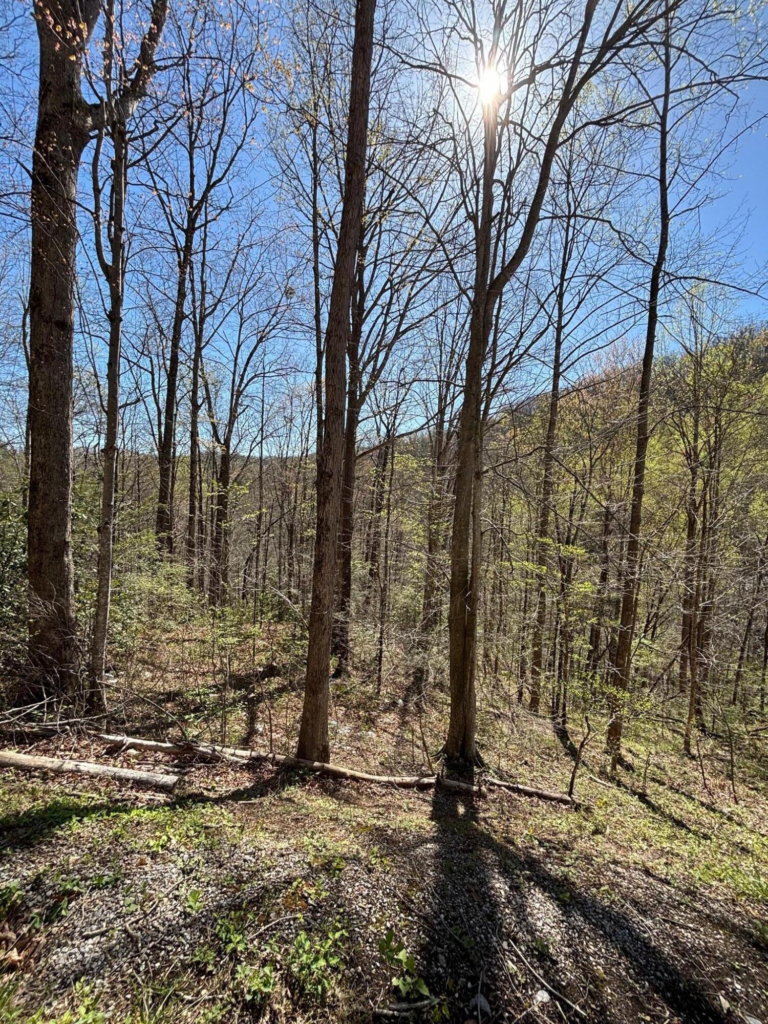 000 Esslinger & Low Gap Gatlinburg TN 37738