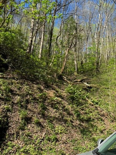 000 Esslinger & Low Gap Gatlinburg TN 37738