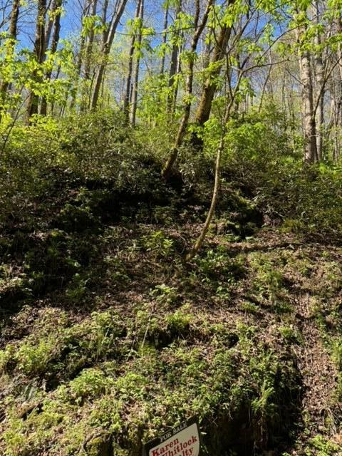 000 Esslinger & Low Gap Gatlinburg TN 37738