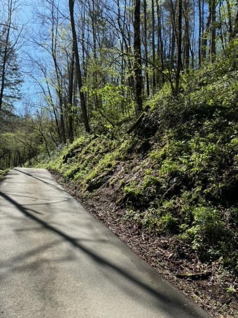 000 Esslinger & Low Gap Gatlinburg TN 37738
