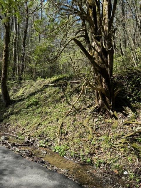 000 Esslinger & Low Gap Gatlinburg TN 37738