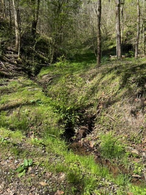 000 Esslinger & Low Gap Gatlinburg TN 37738