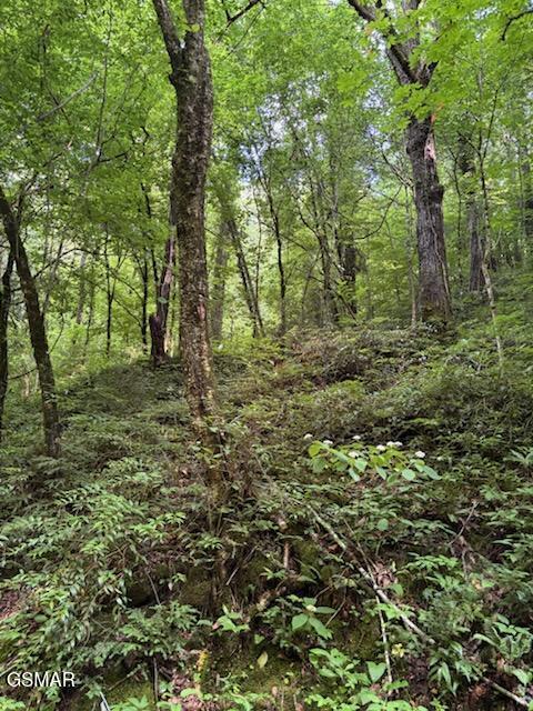 000 Esslinger & Low Gap Gatlinburg TN 37738