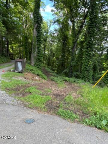 000 Esslinger & Low Gap Gatlinburg TN 37738