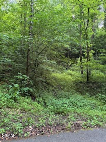 000 Esslinger & Low Gap Gatlinburg TN 37738