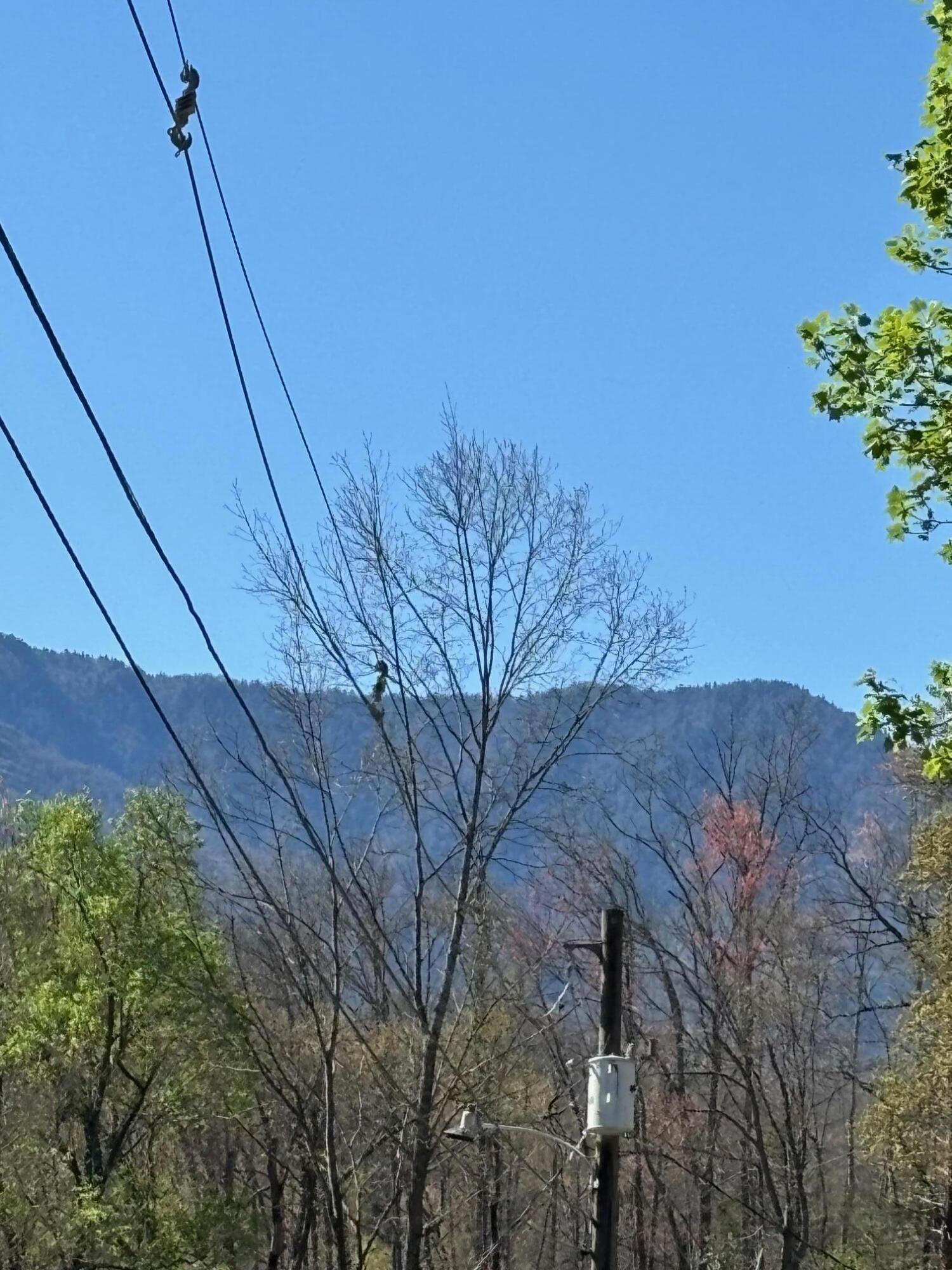 000 Esslinger & Low Gap Gatlinburg TN 37738