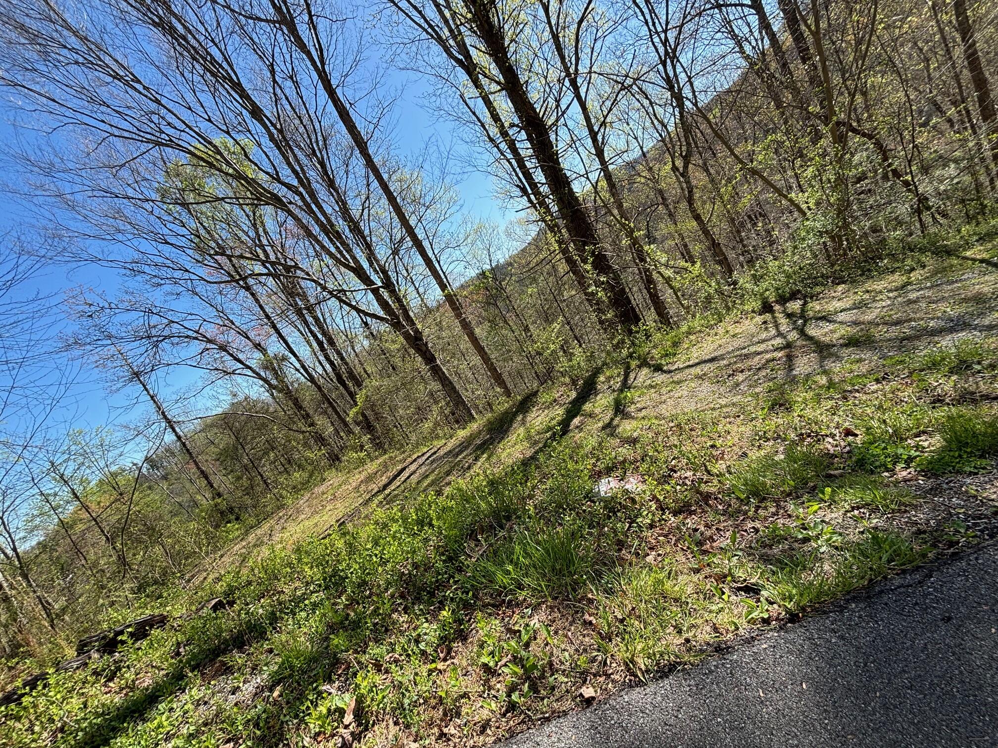 000 Esslinger & Low Gap Gatlinburg TN 37738
