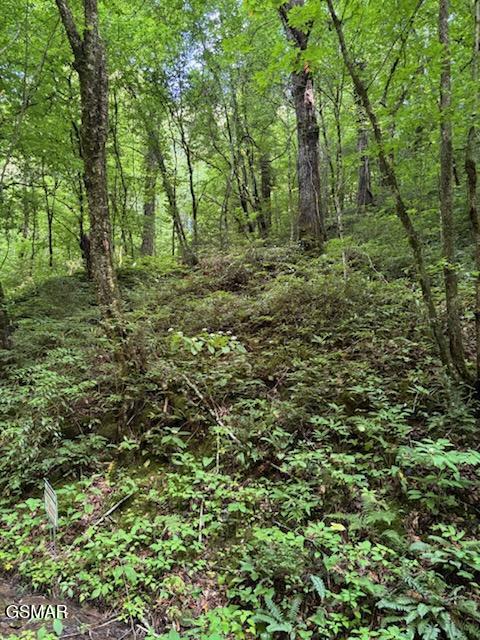 000 Esslinger & Low Gap Gatlinburg TN 37738