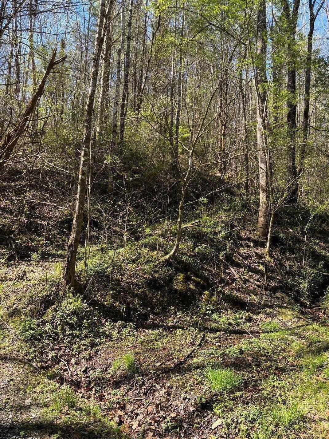 000 Esslinger & Low Gap Gatlinburg TN 37738