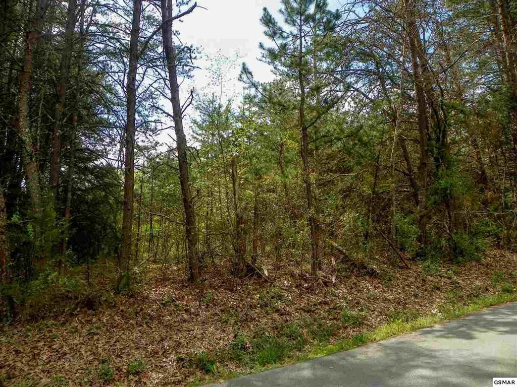 Lot 9 Rail Hill Lane Sevierville TN 37876