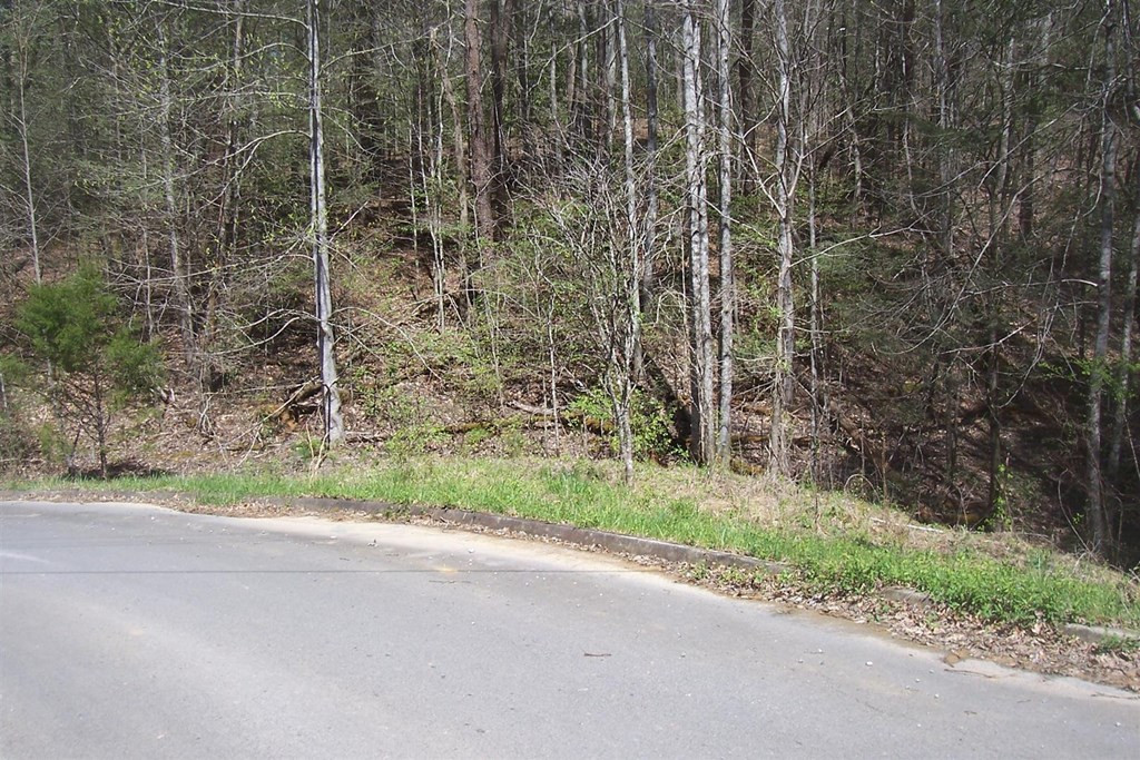 Lot 9 Rail Hill Lane Sevierville TN 37876