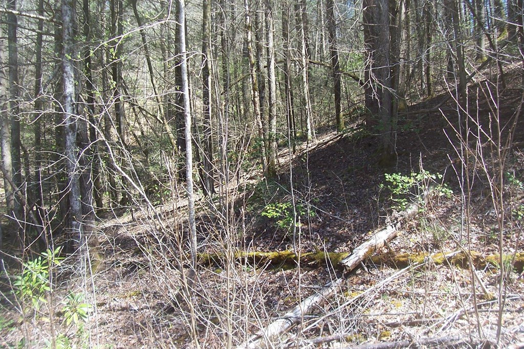 Lot 9 Rail Hill Lane Sevierville TN 37876