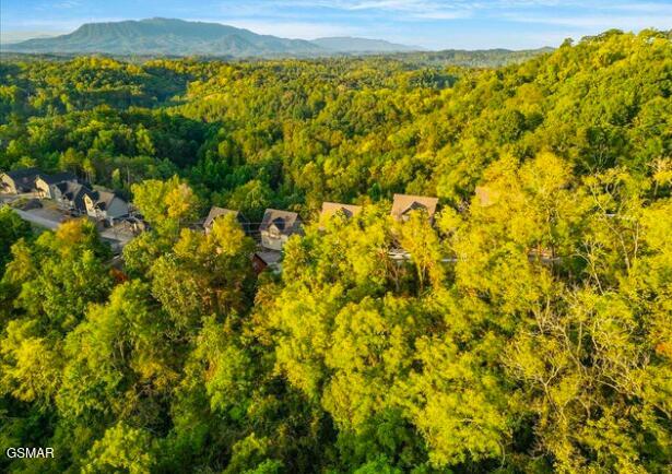 Lot 144 Eagle Feather Drive Sevierville TN 37876